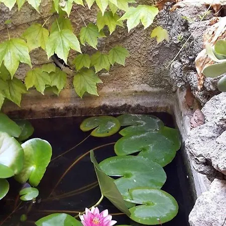 Apartamento Il Frantoio