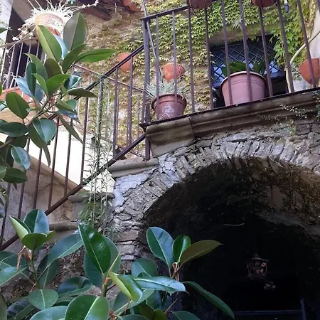 Il Frantoio